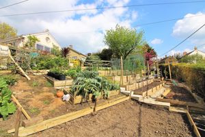 Rear Garden- click for photo gallery